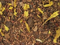 HONEYBUSH MIÓD Z CYNAMONEM