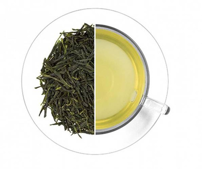 HERBATA ZIELONA JAPAN SENCHA MIYAZAKI