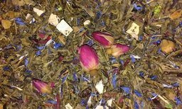 HERBATA ZIELONA ZIELONA PRZYSTAŃ