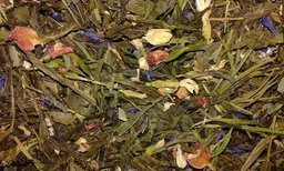 HERBATA ZIELONA JAŚMINOWA ROSA 