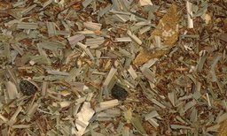 ROOIBOS PORZECZKA Z WERBENĄ