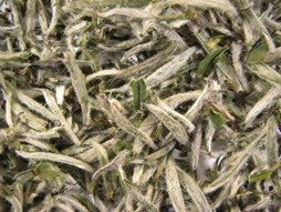 HERBATA BIAŁA SILVER NEEDLE