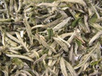 HERBATA BIAŁA SILVER NEEDLE